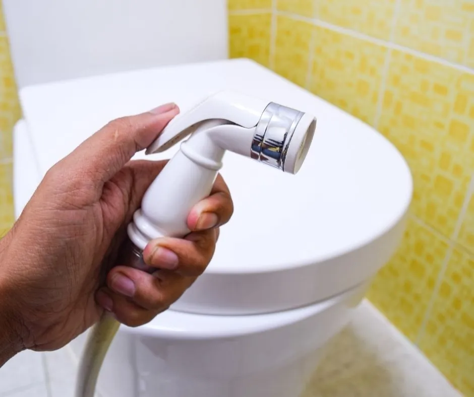 Toilet - Bidet Installation (Existing Connection)